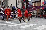 Gara delle Bighe 2011-7774